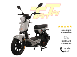 taining gx30 plus’s