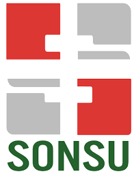 Sonsu