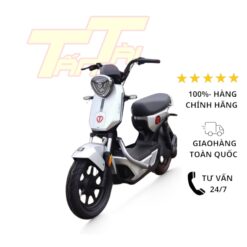 xe ĐẠp ĐiỆn tailg gx30