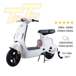 xe đạp điện jvc