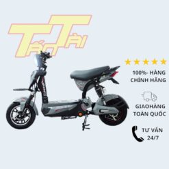 pega hkbike 133