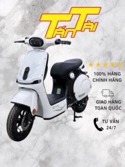 xe sonco lyn